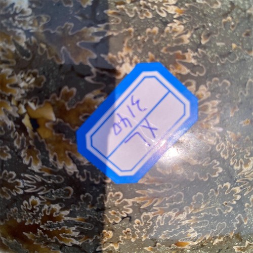Natürliche 6,05 Pfund Ammonit fossil Reiki Kristall Probe Mineral Dekor Kristall Geschenk - Bild 12 von 12