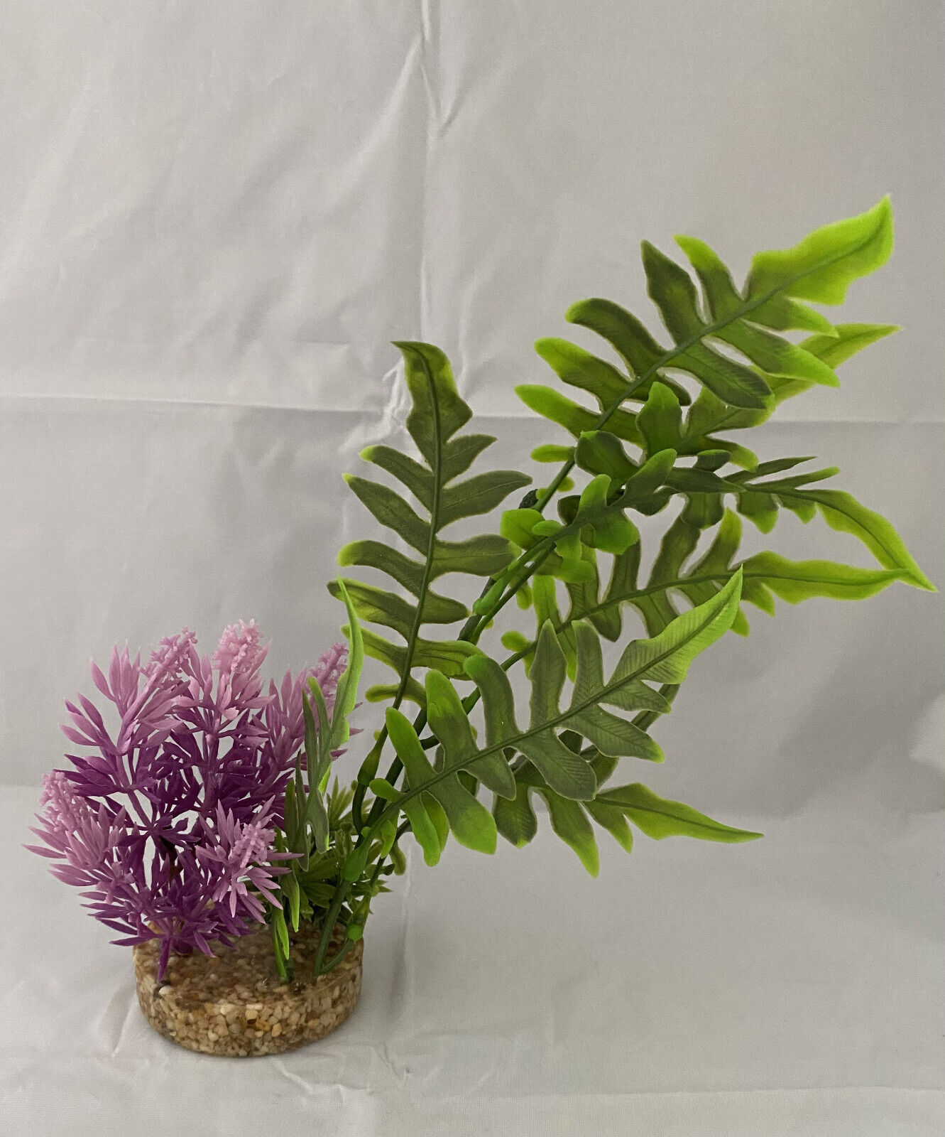 Picture 5 of 10