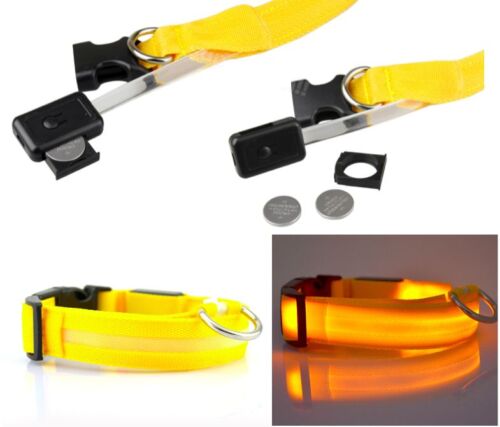 LED Glow Collar Dog Puppy Pet Flashing Light Safety Glow In The Dark FAST POST - Picture 2 of 81