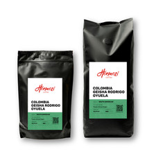 Traditional Drum Roasted Fresh Colombia Geisha Rodrigo Oyuela Bean Ground Retail