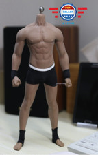 TBLeague PHICEN M33 1/6 scale Seamless Male Muscular body Steel Skeleton