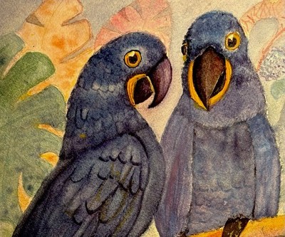 Original 10x13 Hyacinth Macaw Pair Tropical Bird Wall Beach Coastal Seaside Art