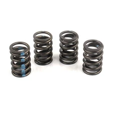 Elgin Valve Spring Set RV-9912XQ4; 115 lbs at 1.820 in. Single 1.460 OD, 4pcs