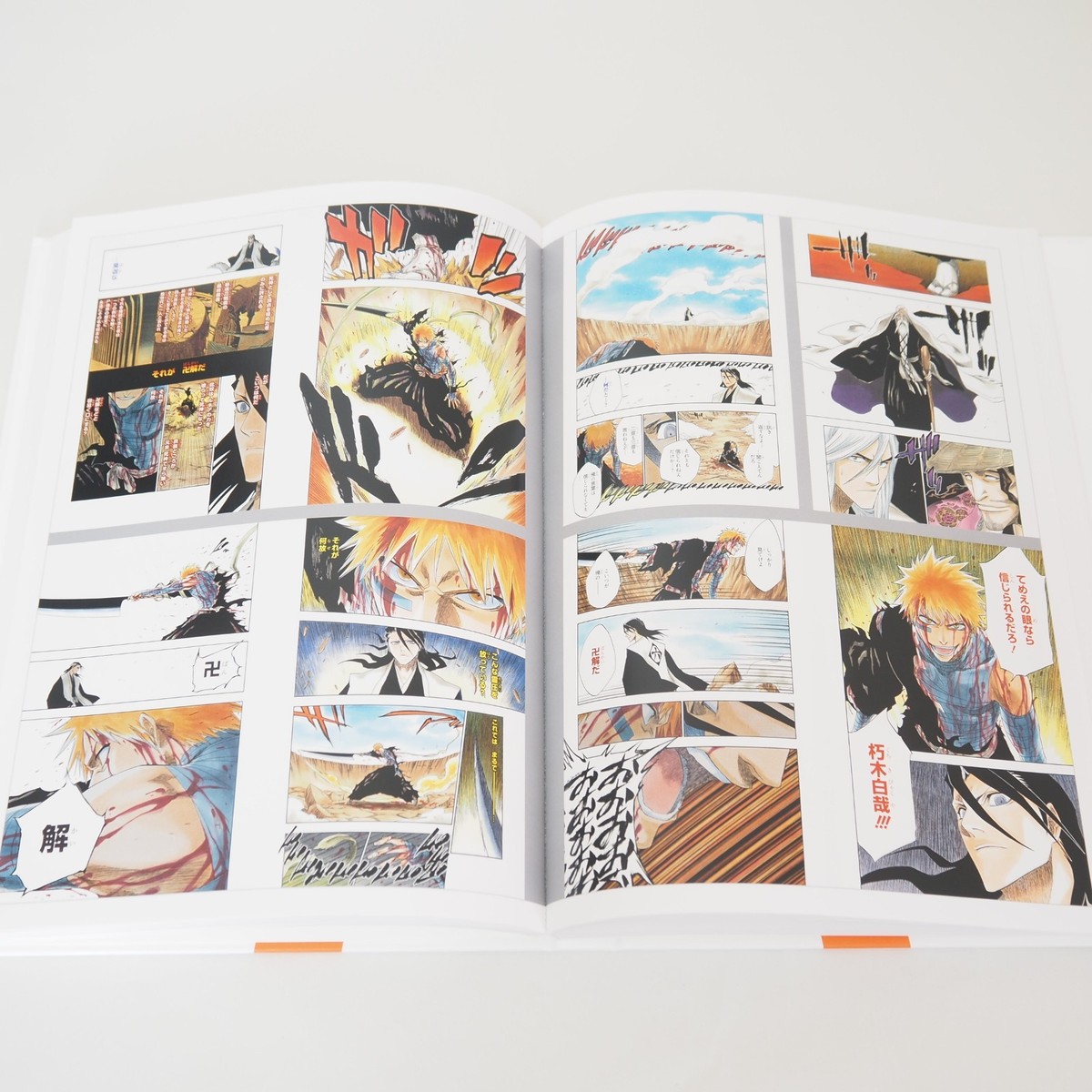 BLEACH Illustration Collection JET Art Book Case Limited Edition