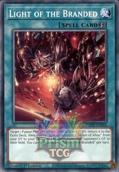Light of the Branded PHHY-EN056 Common 1st Edition