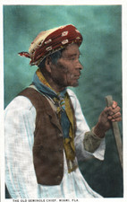Postcard Florida Seminole Indian Cheif-Unposted