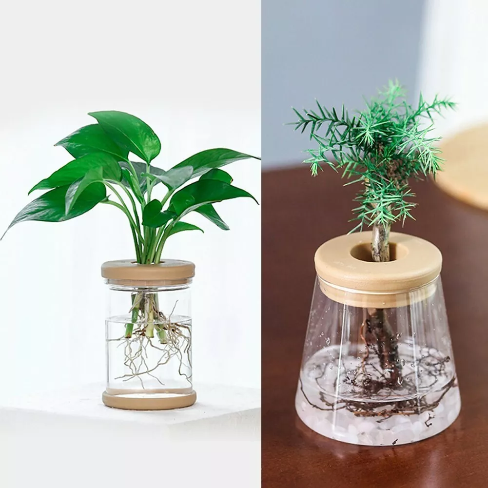 2pcs Self Watering Flower Plant Pot Lazy Flowerpot Planter Garden