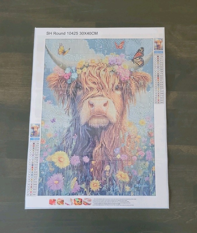 30x40 Diamond Painting Kit: 10425