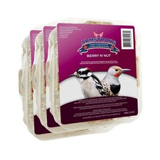 Armstrong Wild Bird Food Berry N' Nut Suet Blend, 33.9oz Pack of 3