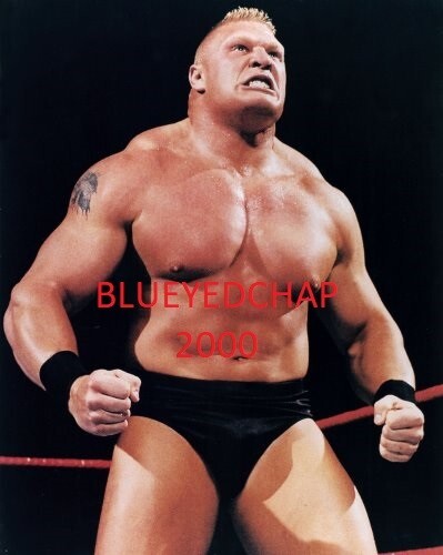 BROCK LESNAR WRESTLER 8 X 10 WRESTLING PHOTO WWF | eBay