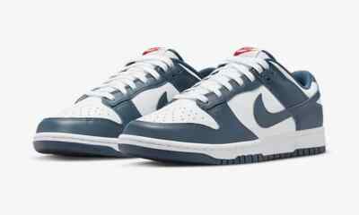 Nike Dunk Low Valerian Blue White Navy DD1391-400 (Men display picture 1