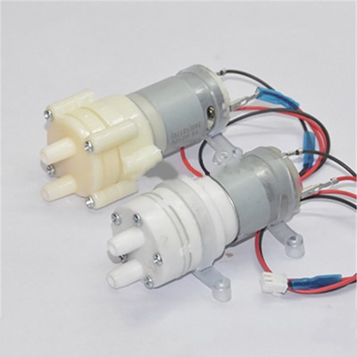 12V Pumpmotor Micro Wasserpumpenkopf für Wasserkocher Teebar Maschine Electric