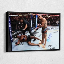 UFC 300 Alex Pereira vs. Hill Poster