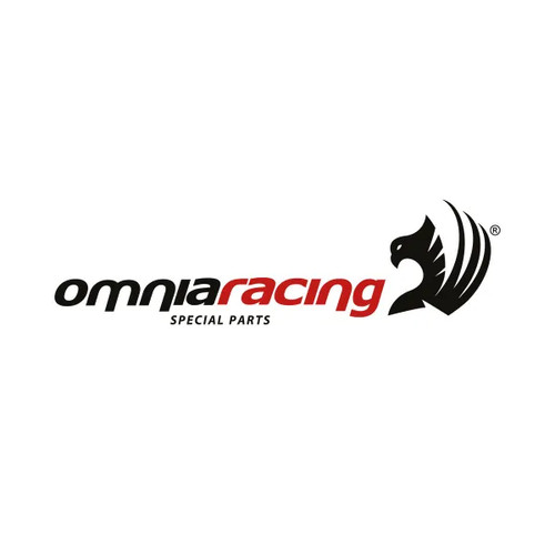 Gruppo Termico DR Racing D.47 ghisa Beta Tempo 50 1993-2002 - Picture 4 of 4