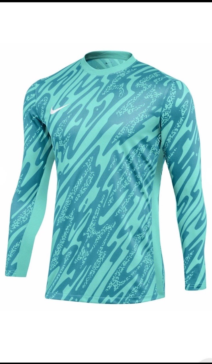 Nike FC Dri-FIT Gardien FD7476-354 9690₽