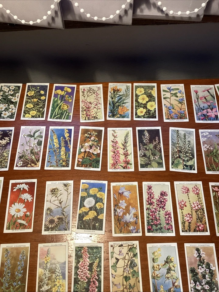 WD & HO Wills Wild Flowers 2nd series 1937 Full Set of 50 cards - Image 3 of 4
