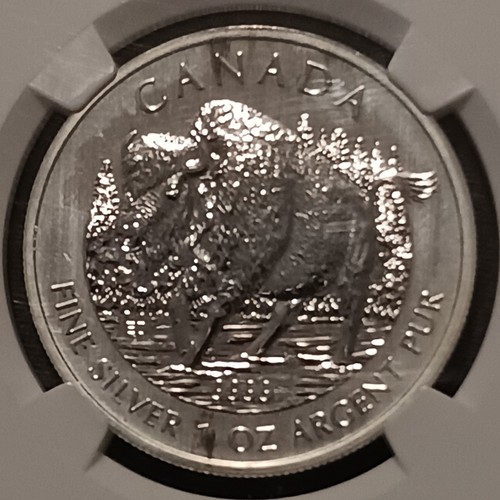2013 NGC MS69 Canada Wood Bison 1oz Fine .999 Silver $5 Coin MS-69 - Picture 3 of 4