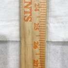 Picture 6 of 6