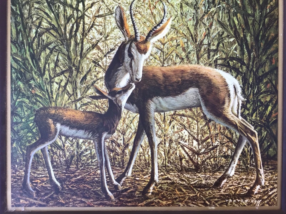 Vintage 1973 Vladimir Tretchikoff Mother and Child Framed Deer Wall Art Print - Image 2 of 4