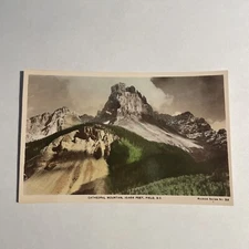 Cathedral Mountain Snow Landscape Forests UNP Vintage Postcard Field BC