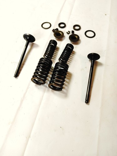 Válvula de admisión y escape 83-86 Honda VF750 VF700 con resortes V45 Magna Sabre - Imagen 6 de 6