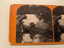 Niagara Falls Stereoview Photo Curtis #238 Raccoon Goat Island