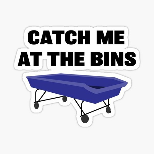 CATCH ME AT THE BINS Goodwill Sticker 2 pack THRIFT STORE window bumper