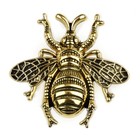 Afbeelding 15 van 24