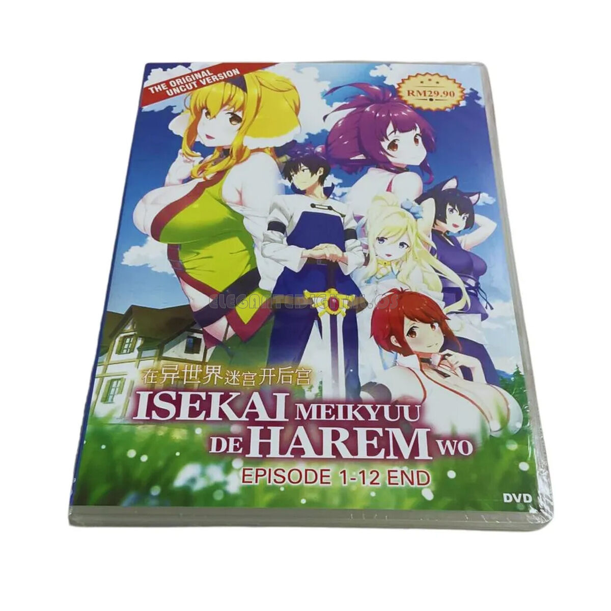 ESSE ANIME NEM PRECISA DE CENSURA! - Isekai Meikyuu de Harem wo EP