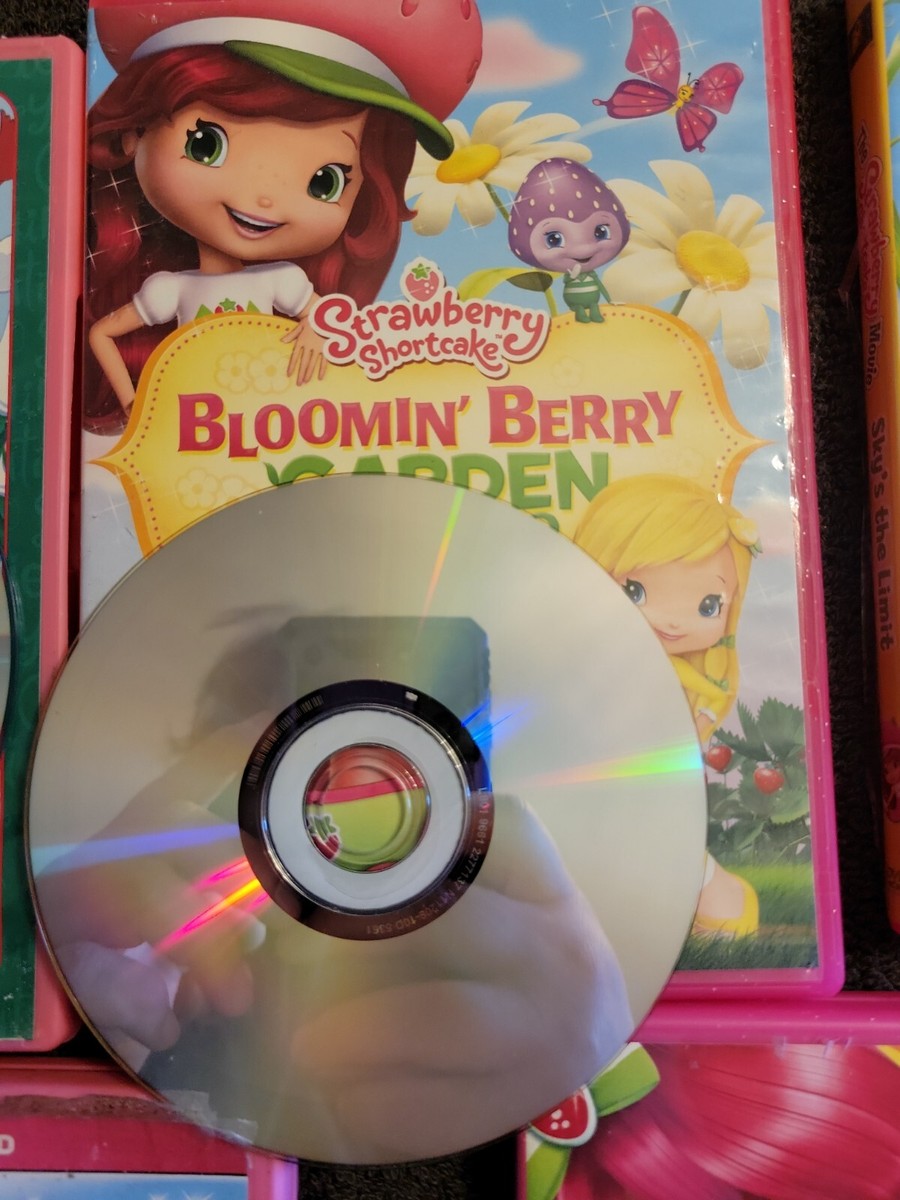 Strawberry Shortcake DVD Lot Of 5 Read Description Of The Included