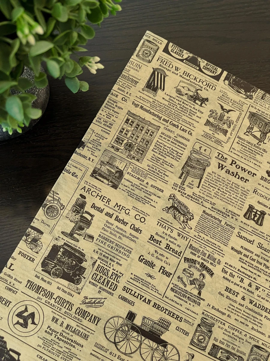 Boutique Carta Veline Stampata Con Illustrazioni Botaniche, 24 Fogli Grandi 20x30 Cm, Per Confezioni Regalo
