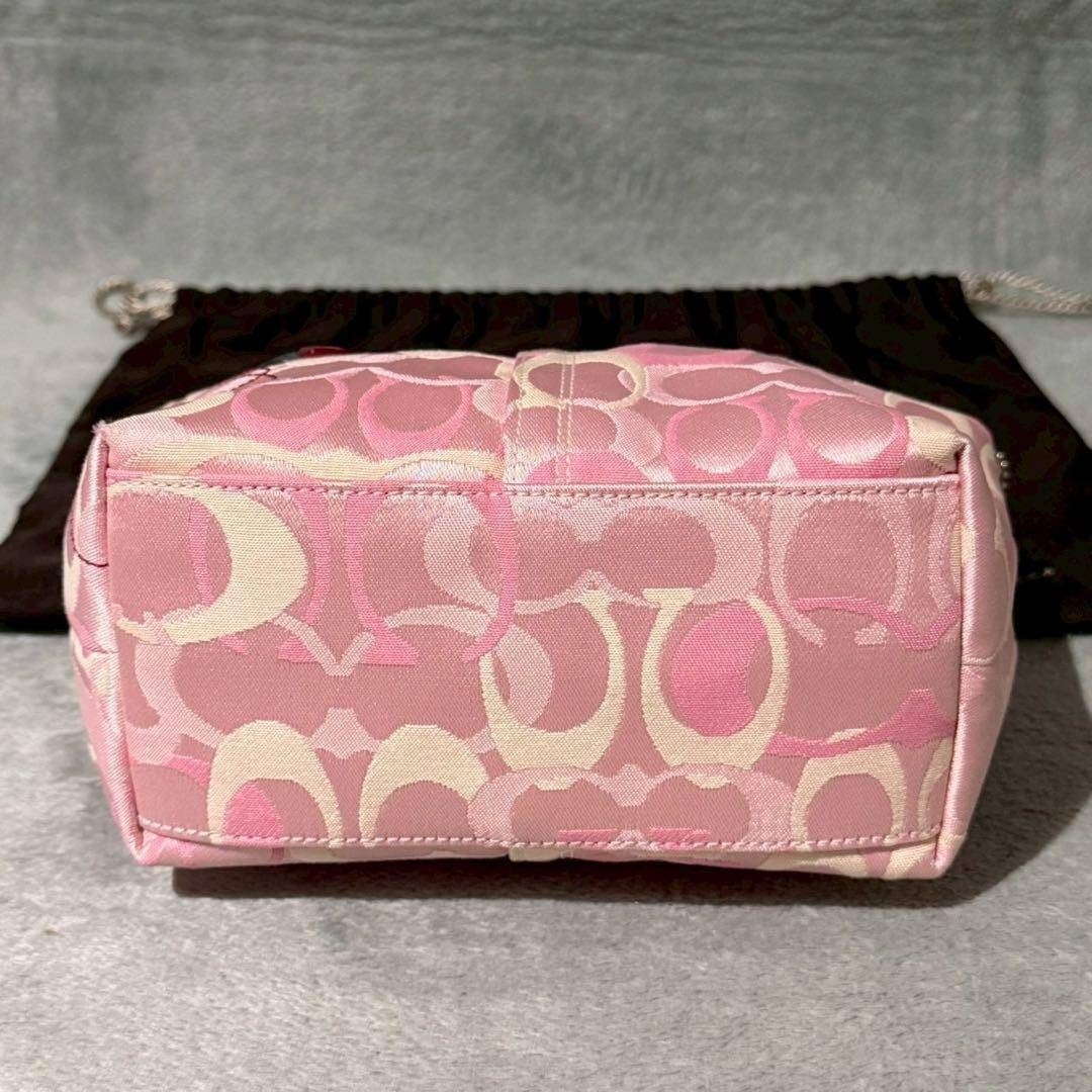 COACH Ladybug Pink Signature Pouch Rare Wristlet Bag Width 23cm Height 13cm image 7