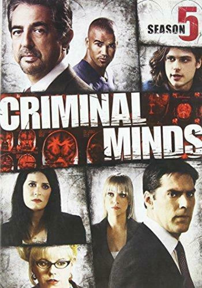 Criminal Minds: Fifth Season DVD TV Shows Matthew Gray Gubler (Region 1) NTSC