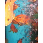 Bild 8 von 11