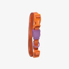 ZEE.DOG NeoPro Iris Purple & Orange Dog Collar | Waterproof | Outdoor Resistant