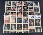 Picture 7 of 13