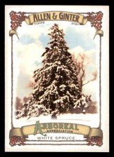 2021 Allen and Ginter Arboreal Appreciation #AA4 White Spruce (ref 224561)