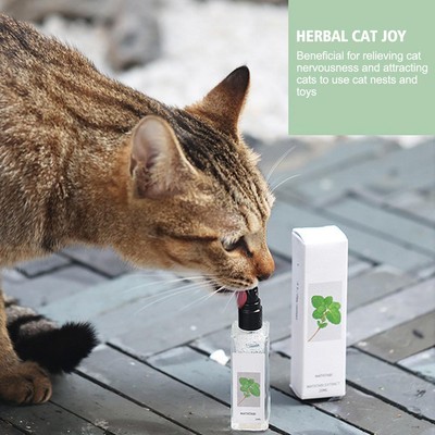 Herbal Cat Joy Spray,Celery Pet Katzenminze Spray, Spray N6K0  für Katzen S8M4