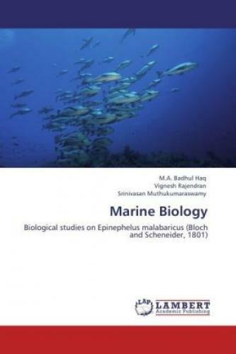 Thumbnail - Marine Biology Biological Studies On Epinephelus Malabaricus (bloch