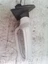 Imagen 2 de 5