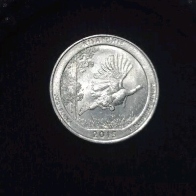 2015 Kisatchie Quarter Strike Thru Error | eBay