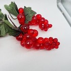 Bild 7 von 13
