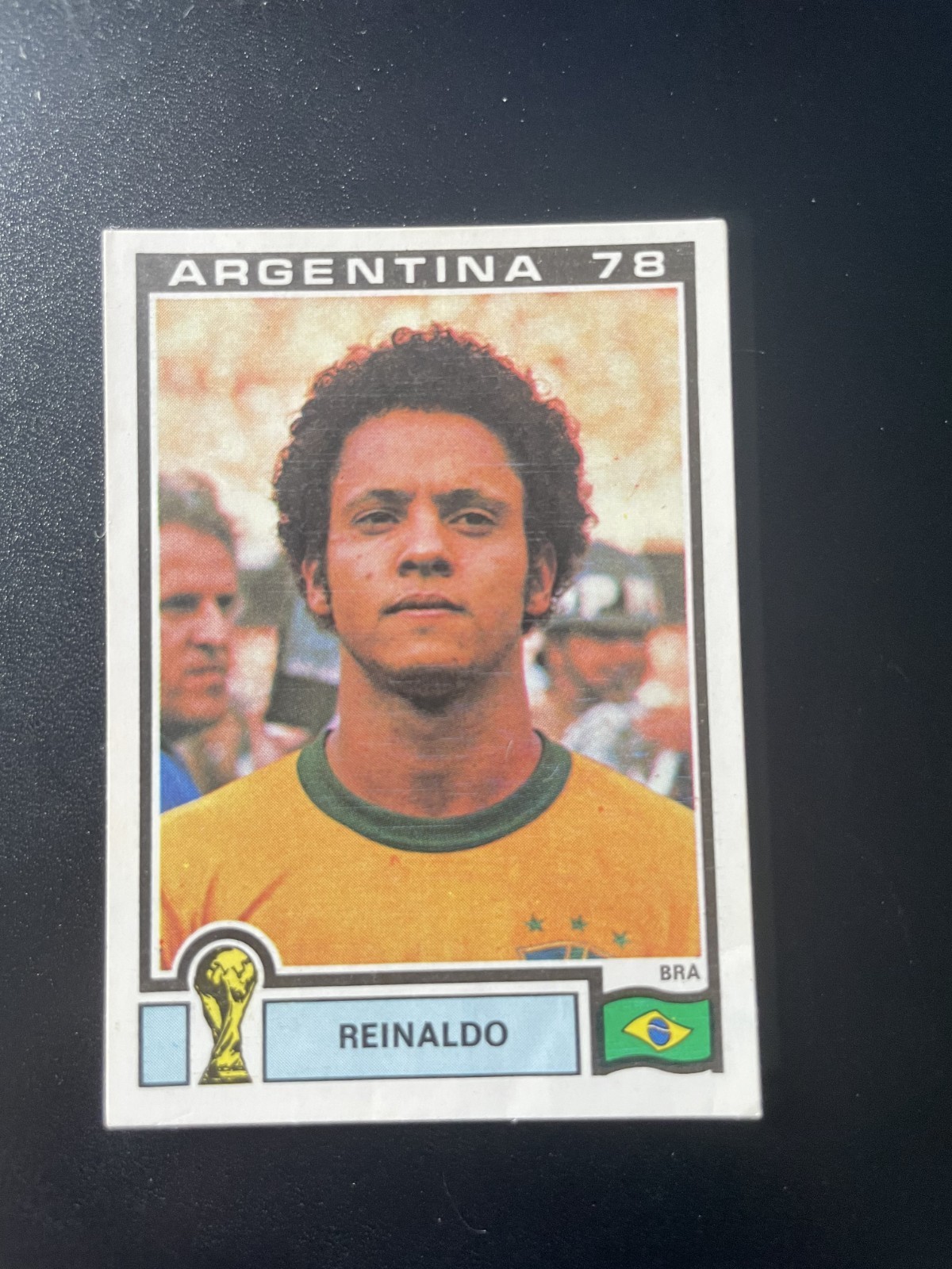 ALBUM FIGURINE PANINI WC ARGENTINA 78 #256 Reinaldo COME DA FOTO