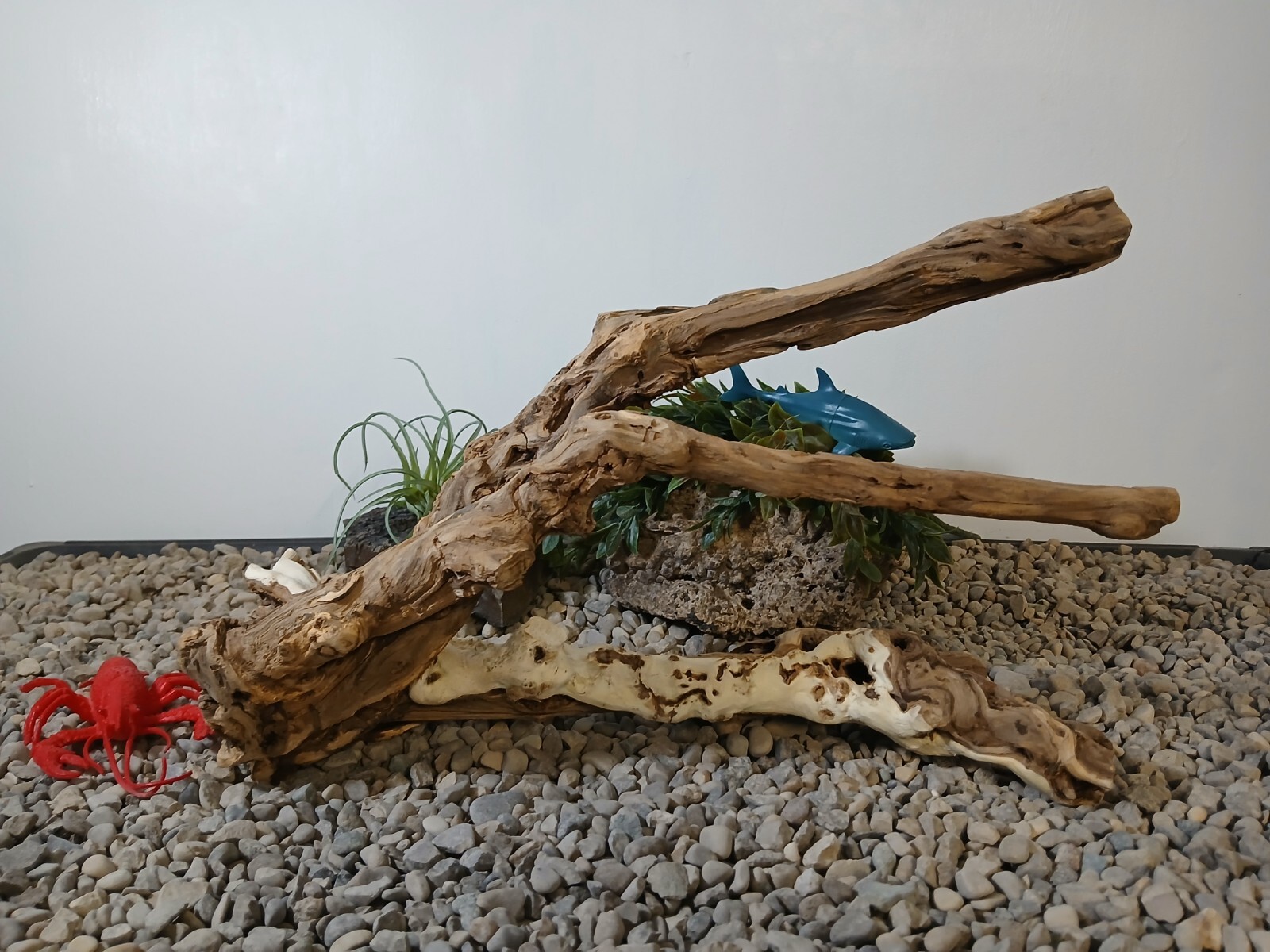 Picture 8 of 8