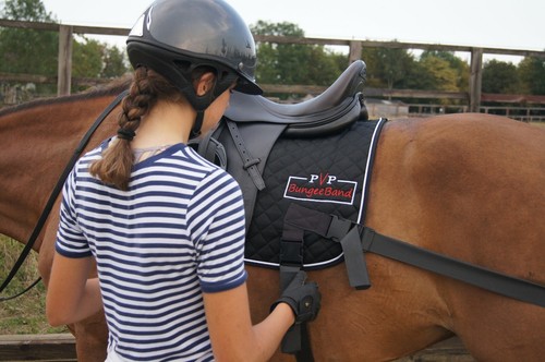 BungeeBand DRESSUR, Pferdeband, Kerntrainer, Equi Trainer, Pferdekernpad - Bild 9 von 11