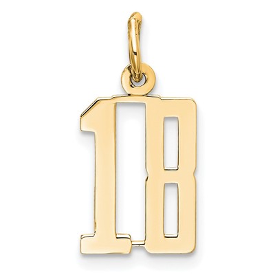 14k Gelbgold kleiner polierter länglicher 18 Charm