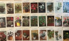 Vintage Botanical Plant Card Lot of 60 Identification Cards Ephemera