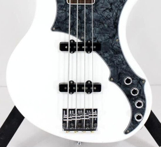 EDWARDS E-RF-137SL the GazettE REITAモデル