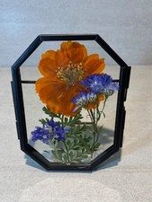 Handmade pressed real dried flowers in double glass black frame