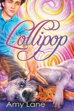 Lollipop Amy Lane Taschenbuch Kartoniert / Broschiert Englisch 2016